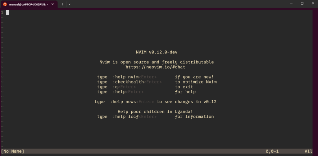 Uma imagem do NeoVim dentro do Windows Terminal.