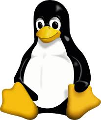 Uma imagem do logotipo do Linux.