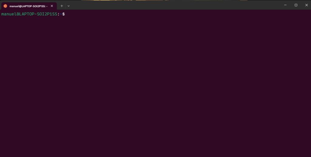 Uma imagem do Windows Terminal com WSL - Ubuntu instalado.